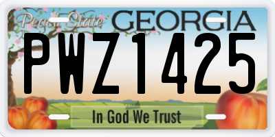 GA license plate PWZ1425