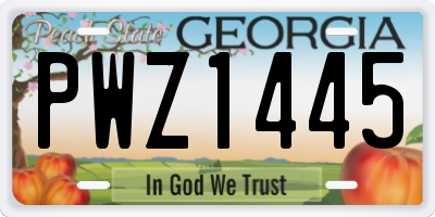 GA license plate PWZ1445