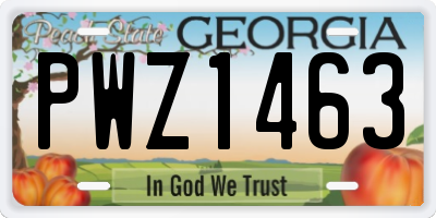 GA license plate PWZ1463