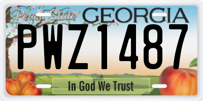 GA license plate PWZ1487