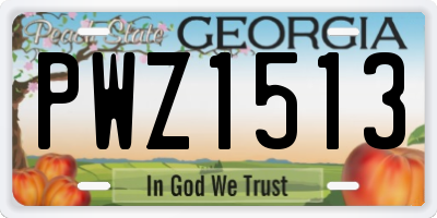 GA license plate PWZ1513