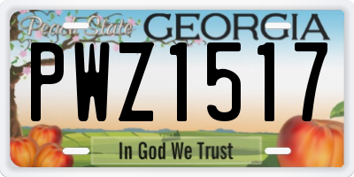 GA license plate PWZ1517