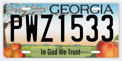 GA license plate PWZ1533