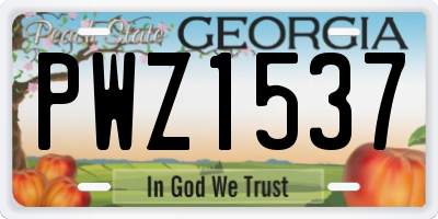 GA license plate PWZ1537