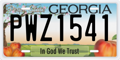 GA license plate PWZ1541