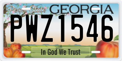 GA license plate PWZ1546