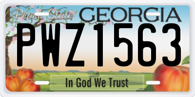 GA license plate PWZ1563