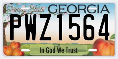 GA license plate PWZ1564