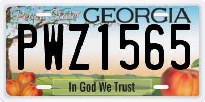 GA license plate PWZ1565