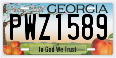 GA license plate PWZ1589