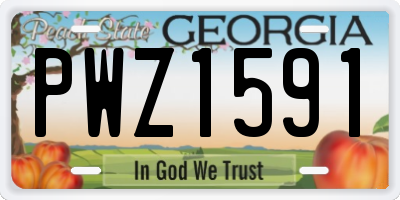GA license plate PWZ1591
