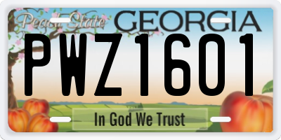 GA license plate PWZ1601