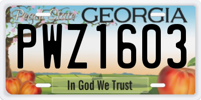 GA license plate PWZ1603