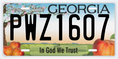 GA license plate PWZ1607