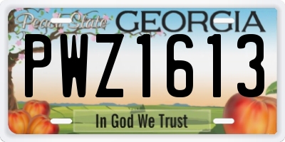 GA license plate PWZ1613