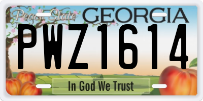 GA license plate PWZ1614