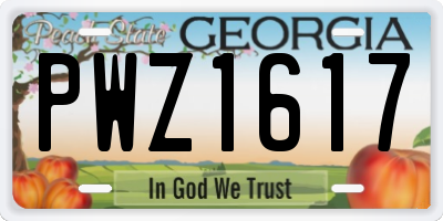 GA license plate PWZ1617