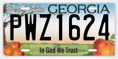 GA license plate PWZ1624