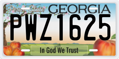 GA license plate PWZ1625