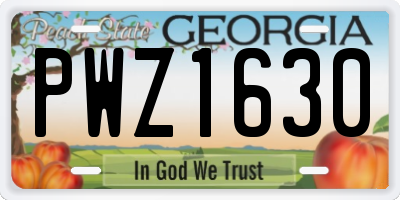 GA license plate PWZ1630
