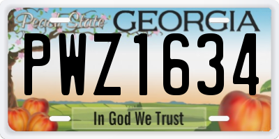 GA license plate PWZ1634