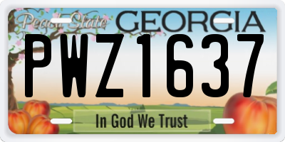 GA license plate PWZ1637