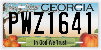 GA license plate PWZ1641