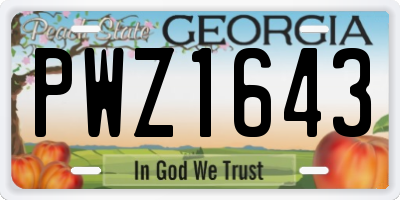 GA license plate PWZ1643
