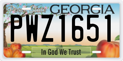 GA license plate PWZ1651