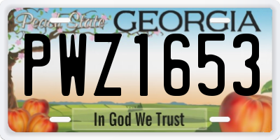 GA license plate PWZ1653