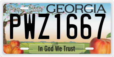 GA license plate PWZ1667