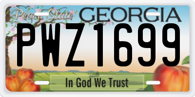 GA license plate PWZ1699