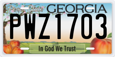 GA license plate PWZ1703