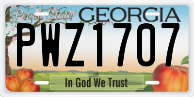 GA license plate PWZ1707