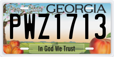 GA license plate PWZ1713