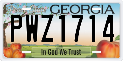 GA license plate PWZ1714