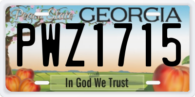 GA license plate PWZ1715