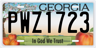 GA license plate PWZ1723