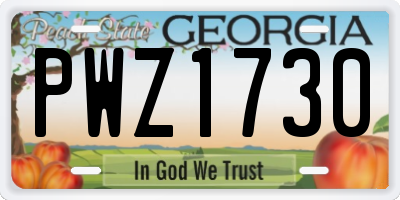 GA license plate PWZ1730