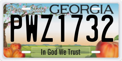 GA license plate PWZ1732