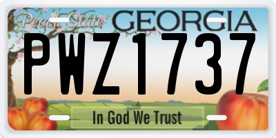 GA license plate PWZ1737