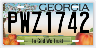 GA license plate PWZ1742