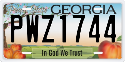 GA license plate PWZ1744