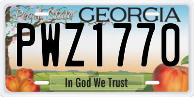 GA license plate PWZ1770