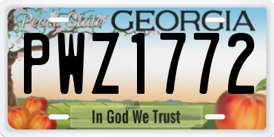 GA license plate PWZ1772