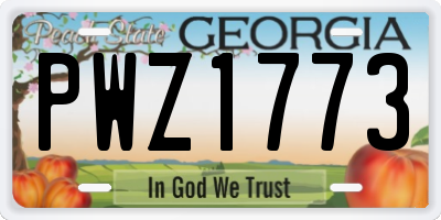 GA license plate PWZ1773