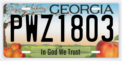 GA license plate PWZ1803