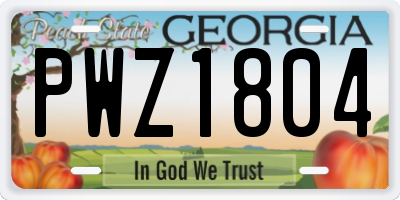 GA license plate PWZ1804