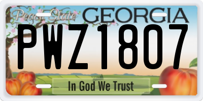 GA license plate PWZ1807