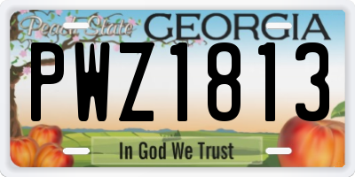 GA license plate PWZ1813